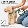 Scout Supply Classic Leather Dog Leash | Strong Heavy Duty