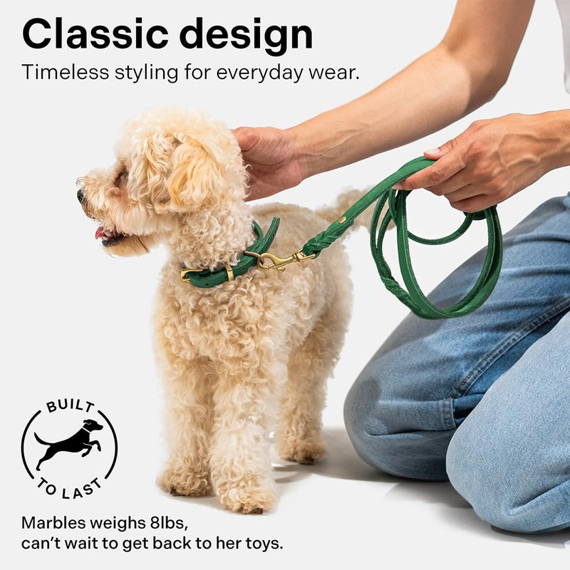 Scout Supply Classic Leather Dog Leash | Strong Heavy Duty