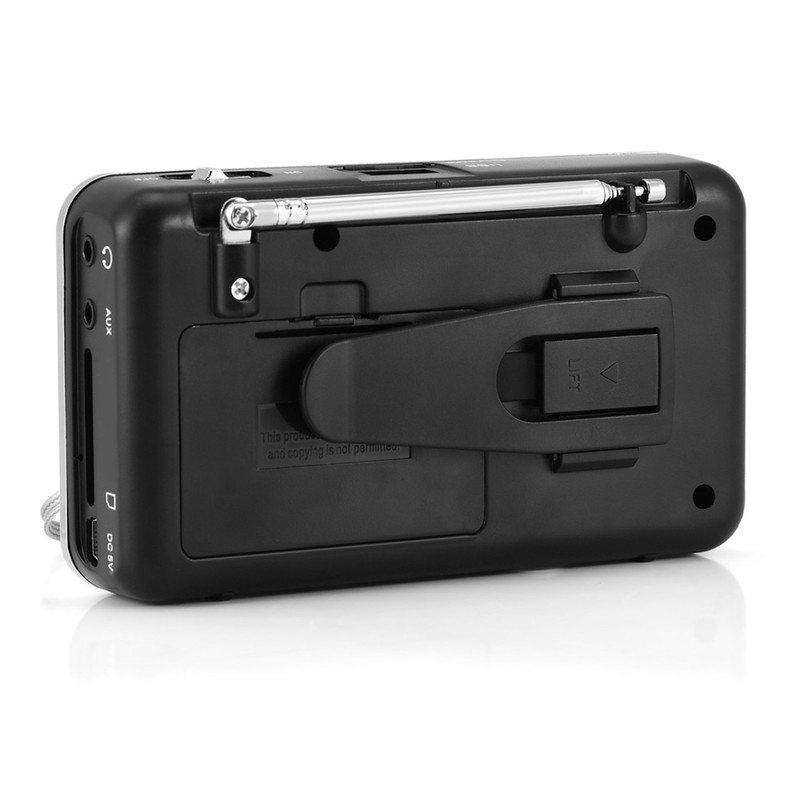 Portable Digital Audio Player HiFi Music Speaker Support FM Radio
