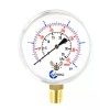 CARBO INSTRUMENTS 2-1/2" Capsule Diaphragm Pressure Gauge 5 PSI 1/4"