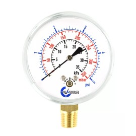 CARBO INSTRUMENTS 2-1/2" Capsule Diaphragm Pressure Gauge 5 PSI 1/4" NPT Low Mnt, Adjustable Zero