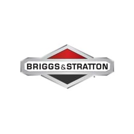 Briggs and Stratton 1725111SM Hydraulic Hose Assembly