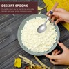 Stainless Steel Dinner Spoons, Buffet Serving Spoons Salad Serving Spoons