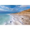 Ever Since - Dead Sea Salt Scrub - 250ml (Blossom)