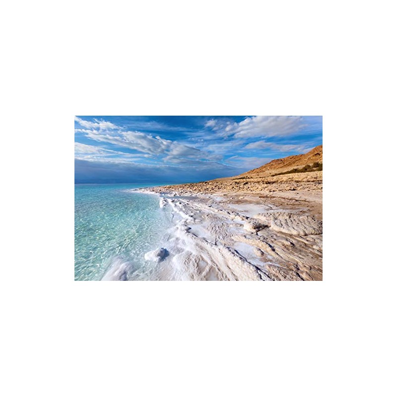 Ever Since - Dead Sea Salt Scrub - 250ml (Blossom)