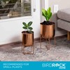 BIRDROCK HOME 2pc Modern Planter with Stand - Elevated Plant