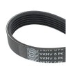 SKF VKMV 6PK1613 Multi-V belt