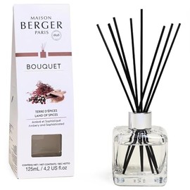 Reed Diffuser - Cube - Clear - Scented Bouquet with Reed Sticks - Prefilled with Lampe Berger Fragrance - 125 Milliliters - 4.2 Fluid Ounces (Land of Spices)