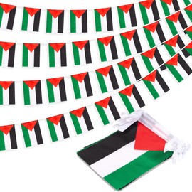 Palestine String Flag Pennant Banner, Small Mini Palestinian Flags Bunting Banner, National Country Decoration for School, Party, Sports Events, Patriotic Festival, 33 Feet 30 Flags