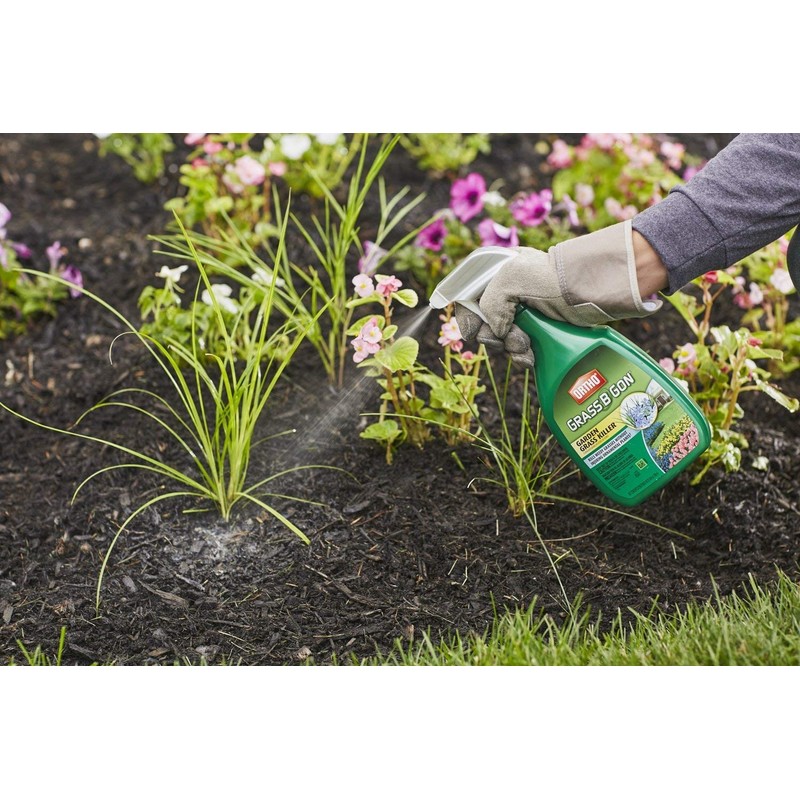 Ortho Grass B Gon Garden Grass Killer, 24-Ounce (3 Pack),