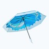 XiranYien Butterfly Clear Umbrella Women Elegant Unique Automatic Open Close