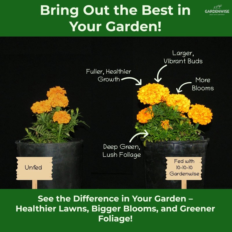 GARDENWISE 10 10 10 Plant Fertilizer Granular All Purpose Slow