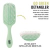 Wet Brush Hair Brush Go Green Treatment & Shine, Eco-Friendly,
