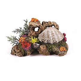 Kazoo Action Clam with Coral and Plants,