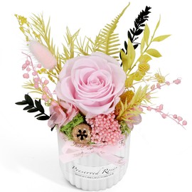 Bloom's Diary Mini Preserved Rose Arrangement Ceramic Mini Vase, Real Touch Preserved Roses Home Decoration, Gift for Her, Women, Wife (Pink)