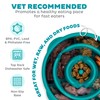 Outward Hound Medium Slow Feeder Bowl, Puzzle Maze for Fast