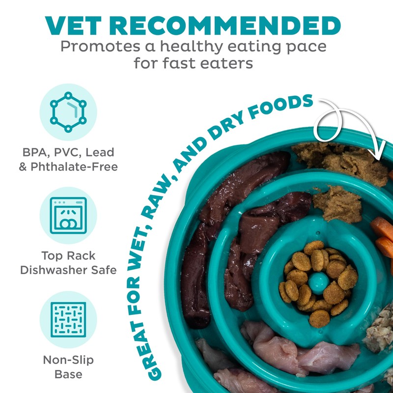 Outward Hound Medium Slow Feeder Bowl, Puzzle Maze for Fast