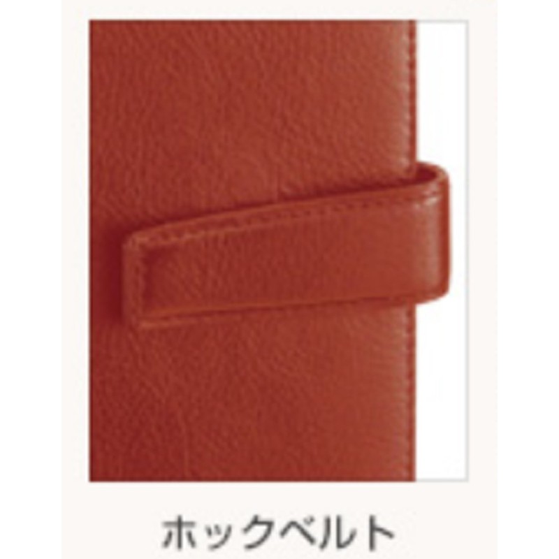 レイメイ藤井 システム手帳 ダヴィンチ スタンダード A5 ブラック DSA3002B