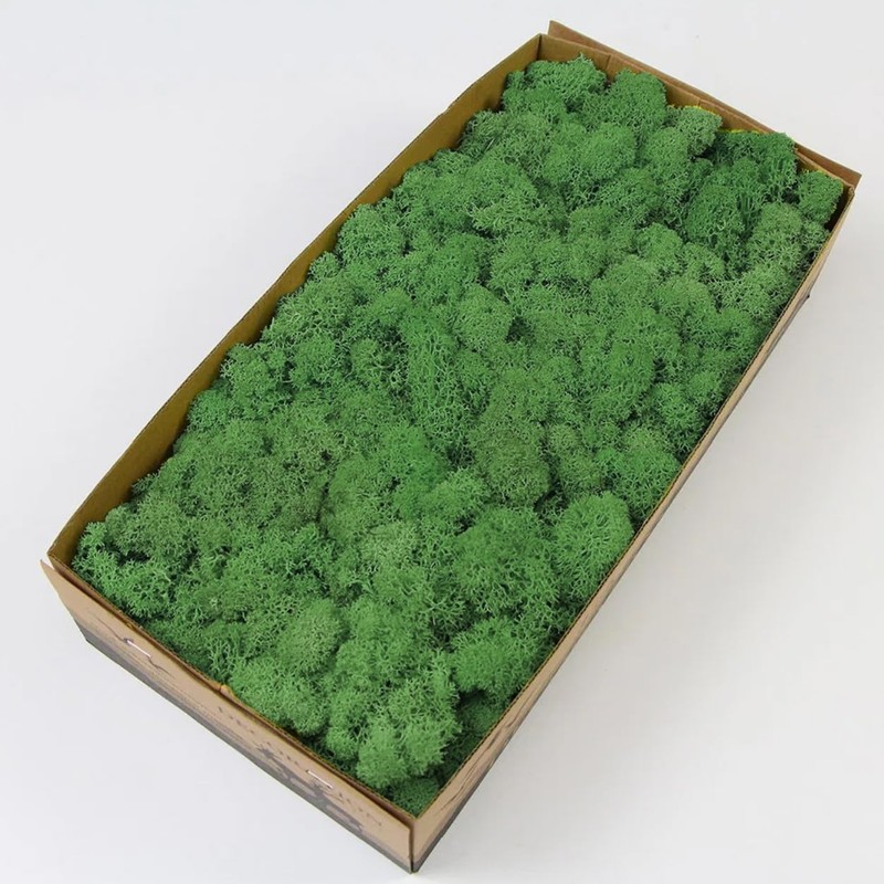 prefleur prefleur Preserved Reindeer Craft Moss Natural Green DIY Kit