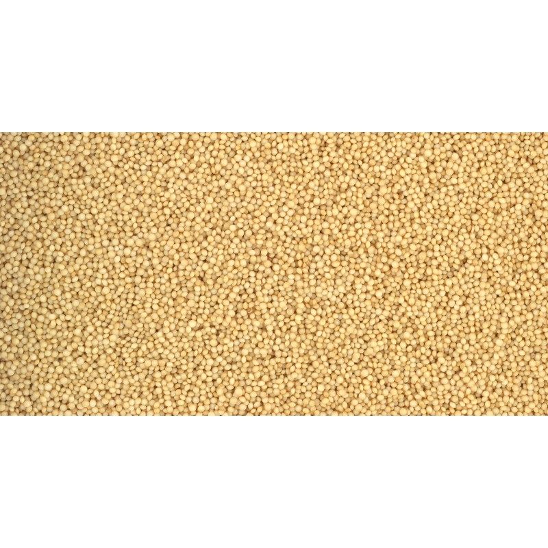 Whole Grain 100% Natural Amaranth Seeds non-GMO RAW (7 LB)