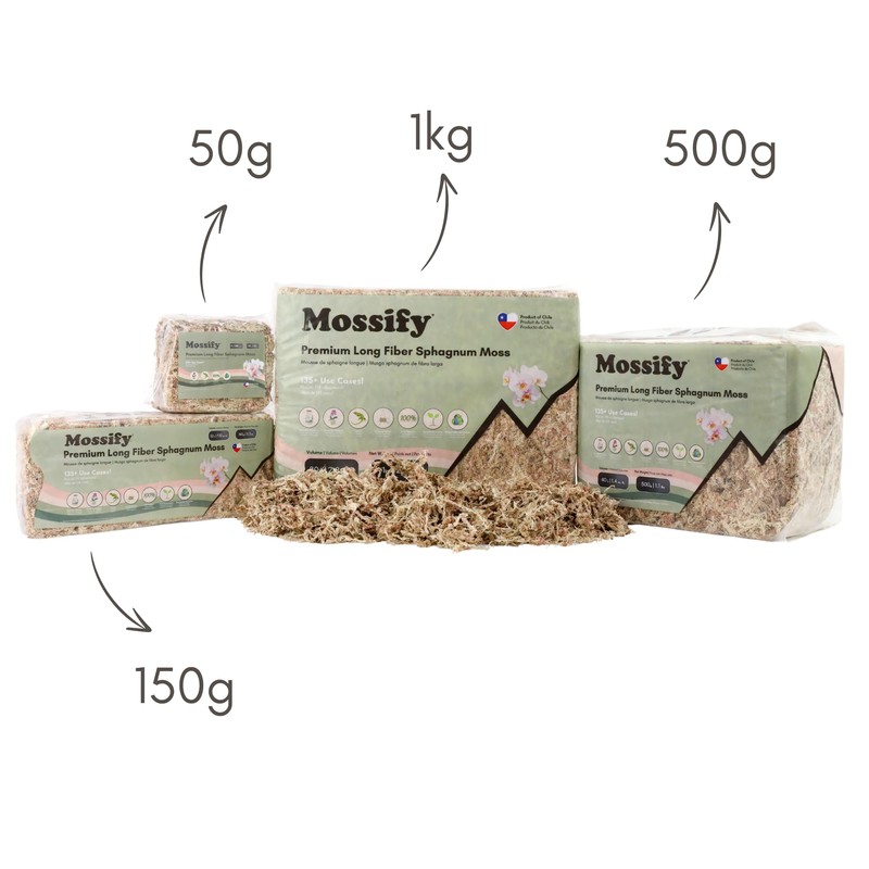 Mossify Premium Sphagnum Moss for Plants 50g, 1.8 Oz -