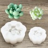 PRETTYLIFE Thick Succulent Silicone Molds 2pcs 3D Flower Plants Candle