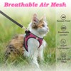 SALFSE Cat Harness and Leash for Walking Escape Proof, Adjustable