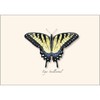 Earth Sky + Water - Swallowtail Assortment Notecard Set -