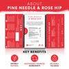 Nutra Tea - Pine Needle & Rosehip Tea | Pine