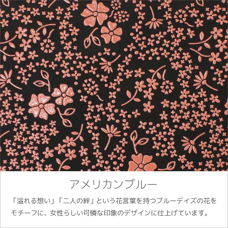 Indenya 4206-51-166 H Glasses Case, Deer Leather, Black Background x