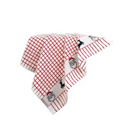 Samuel Lamont Festive Santa and Reindeer Cotton Tea Towel with Red Check Pattern (19.68” x 27.05”)