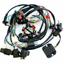 Unbranded/Generic Electric Start Wiring Harness  Magneto Stator GY6 150cc ATV Quad Taotao Coolster