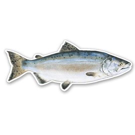 GT Graphics Pink Alaskan Salmon - 8" Vinyl Sticker - for Car Laptop I-Pad - Waterproof Decal