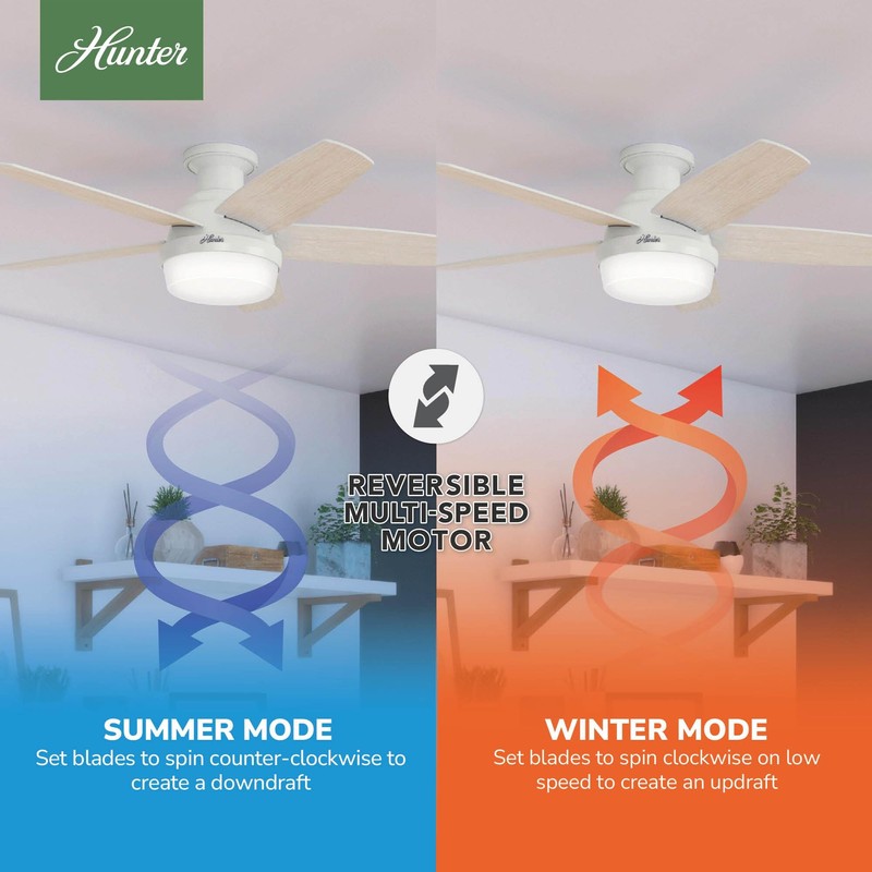 Hunter Fan 48 inch Low Profile Fresh White Indoor Ceiling