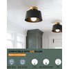 LHLYCLX 2 Pack Ceiling Light Fixture, Hallway Ceiling Light with