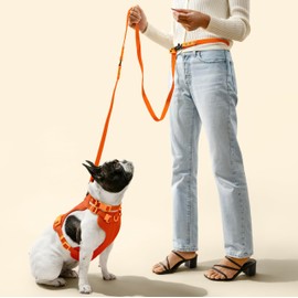 THE LICKER STORE HNS1001A Arlo Small Adjustable Soft Padded No Pull Pet Harness with 3 Buckles and 3 Leash Clips, Aperol