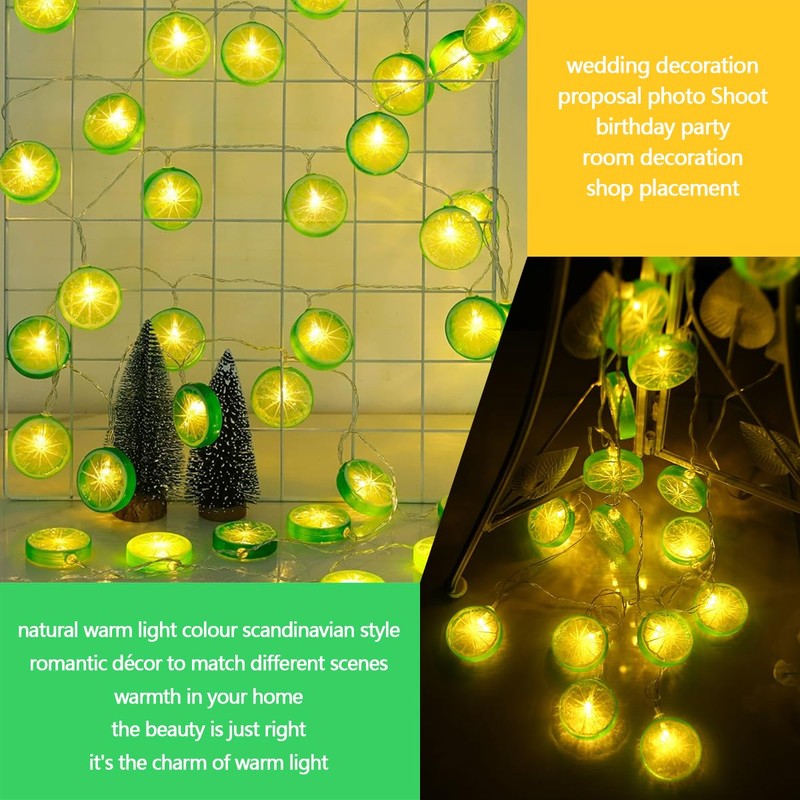 YOLUFER Lemon String Lights 20pcs LED Lights Lemon Slice Battery