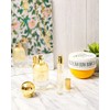 Sol de Janeiro Cheirosa '62 Perfume | Eau de Parfum