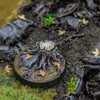 War World Gaming 25 mm Round Fantasy Forest Bases x10