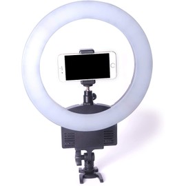 StudioFX 12" 36W 240PCS Bi-Color LED Ring Light 3000K-6000K Dimmable Photography for Camera Photo Studio Video by Kaezi LED240 v2