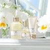 Lawrence Shining Through Body Cool Jelette Le Schelllate (Gel Body
