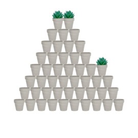 vensovo 48 Pcs 2" Tiny Terracotta & Terra Cotta Pots with Drainage - Grey Small Mini Clay Ceramic Pottery Planter Ideal for Indoor/Outdoor Plants, Crafts, Wedding Favors