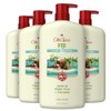 Old Spice Body Wash for Men, Fiji with Palm Tree
