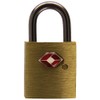 PAVO Premium Aluminium TSA Padlock with 2 Keys 20 mm
