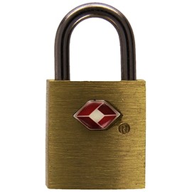 PAVO Premium Aluminium TSA Padlock with 2 Keys 20 mm 8046737