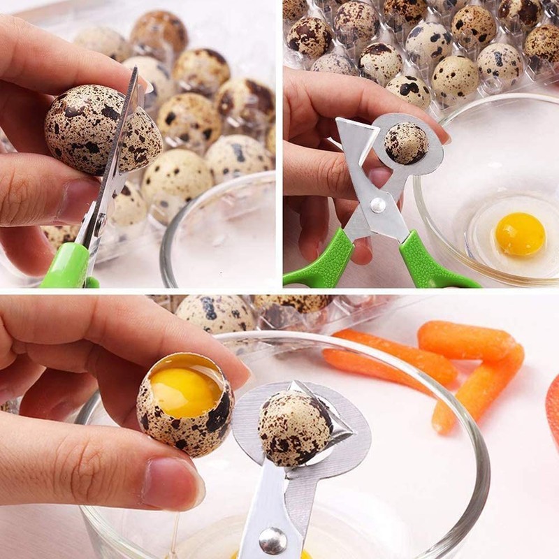 2 Pieces Quail Egg Scissors, Stainless Steel Quail Egg Scissors,