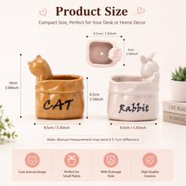 Cute Small Succulent Planter Set, 2-Pack Ceramic Garden Pots