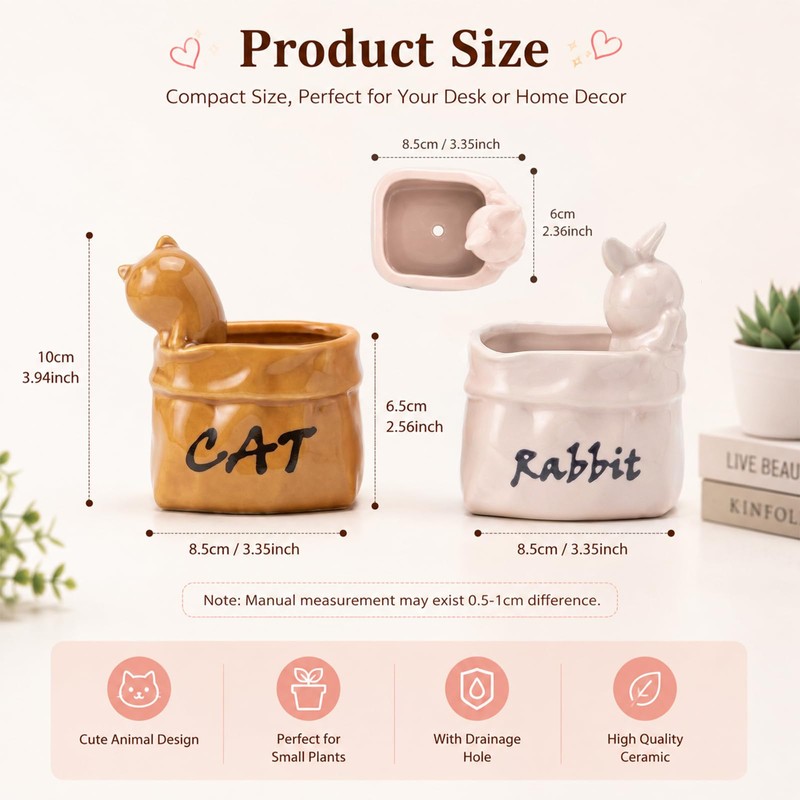 Cute Small Succulent Planter Set, 2-Pack Ceramic Garden Pots