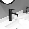 phiestina Bathroom Sink Faucet, Vanity Faucet with Water Supply Lines