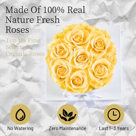 Graclect Flowers for Delivery Prime - Preserved Roses in a Box - Forever Flowers, Immortal Roses, Eternal Rose Birthday Gifts for Her, for Mom - Yellow Rose